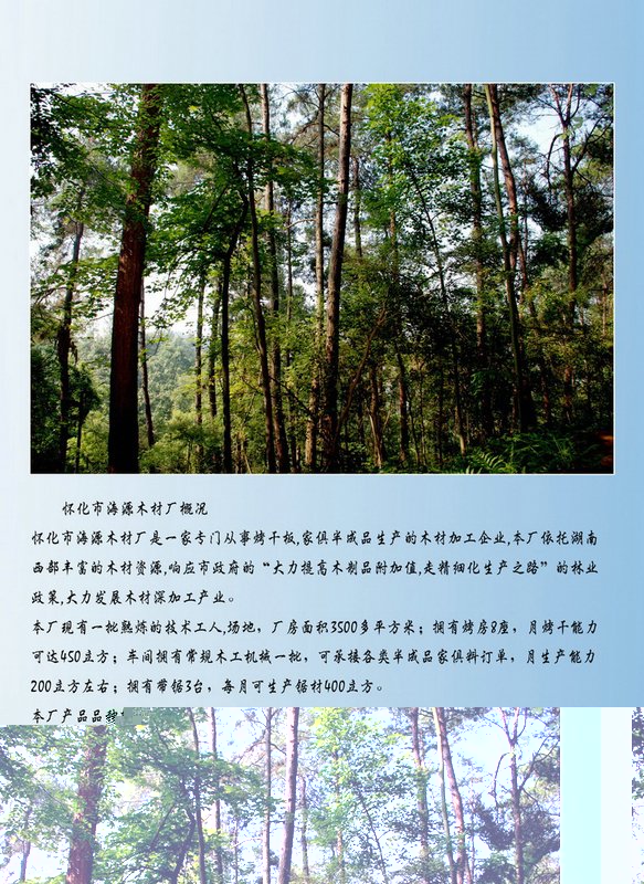 image2.jpg