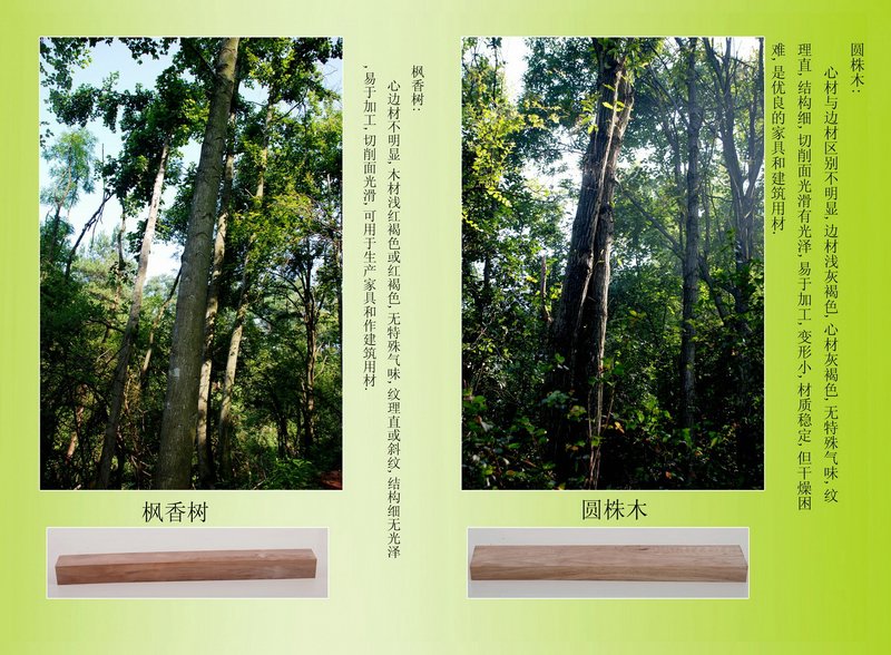 image8.jpg